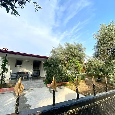 Zeytinevi